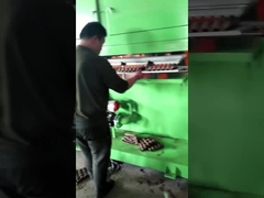 अंडा ट्रे/फल ट्रे/बोतल ट्रे बनाने के लिए पुनर्नवीनीकृत पेपर पल्प मोल्डिंग मशीन