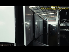 380V/220V/अनुकूलित अंडा ट्रे बनाने की मशीन, रिसीप्रोकेटिंग और रोटरी फॉर्मिंग के साथ 1 साल की वारंटी