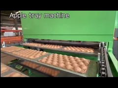 उच्च दक्षता वाले गूदे अंडे के कार्टन बनाने की मशीन, फलों की ट्रे बनाने की मशीन
