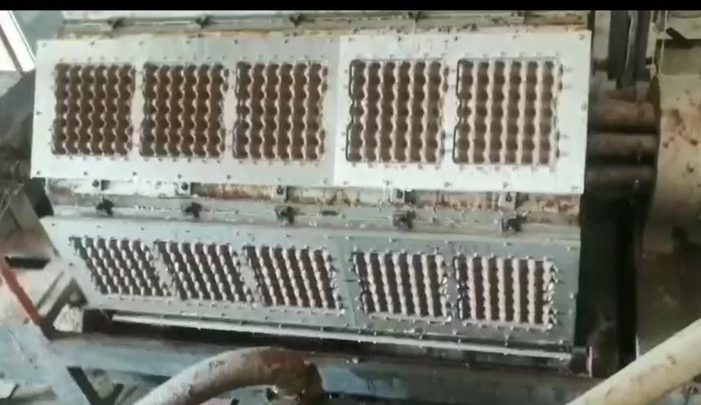 फार्म चिकन के लिए एल्यूमीनियम मोल्ड के साथ उच्च गति पूर्ण स्वचालित अंडा ट्रे मशीन
