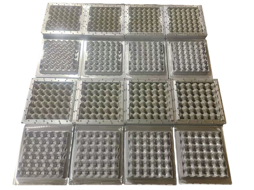 पूरी तरह से स्वचालित 5000pcs/h क्षमता 5*8 मोल्ड्स रोटरी मोल्डिंग मॉडल अंडे ट्रे उत्पादन लाइन कागज पल्प मोल्डिंग मशीन