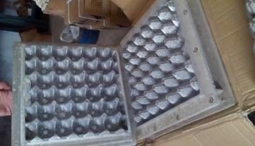 अंडे के डिब्बों / सेब ट्रे के लिए रोटरी टाइप पेपर ट्रे उत्पादन लाइन 4000pcs/h