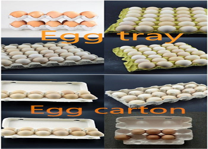 पुनर्नवीनीकरण कागज अंडा बॉक्स अंडा ट्रे मशीन कीमत 3000pcs पल्प सेब ट्रे मशीन के साथ