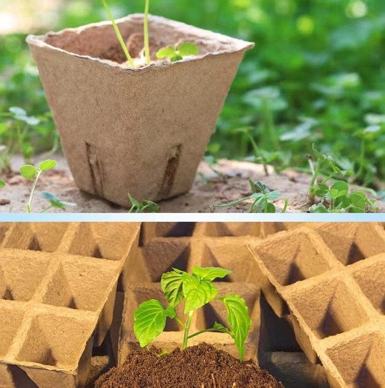 चिकन फार्म छोटी उत्पादन क्षमता के लिए पल्प वेस्ट पेपर अंडा ट्रे बनाने की मशीन