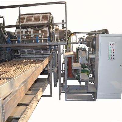 3000pcs/h पुनर्नवीनीकरण कागज अंडा बॉक्स बनाने की मशीन रोटरी प्रकार उच्च गति
