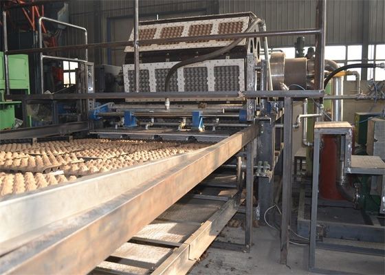 पेपर एग ट्रे उत्पादन लाइन कंप्यूटर उच्च दक्षता के साथ नियंत्रित